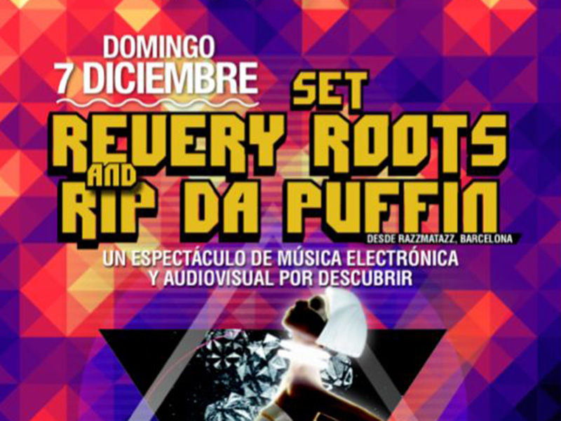 DJ REVERY ROOTS & VJ RIP DA PUFFIN