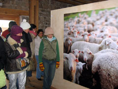 Ampliar foto