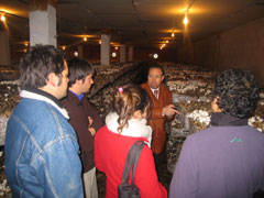 Ampliar foto