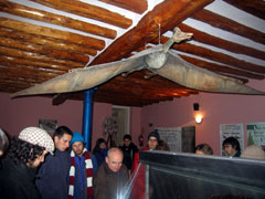 Ampliar foto